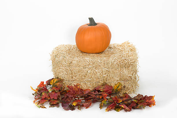 istock Studio isolated fall pumpkins on hay bale with oak leaves 516234619