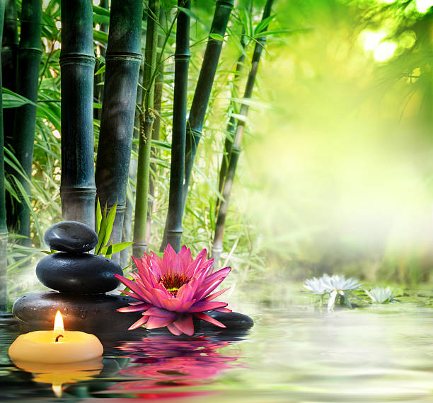 massage in nature - zen concept lily, black stones, bamboo and candles - in pond bamboo material photos stock pictures, royalty-free photos & images