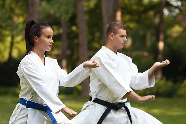 Young couple doing Martial Arts exercise outdoors