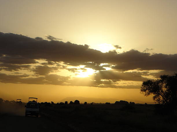 istock Safari ride Amboseli Sunset 516244176
