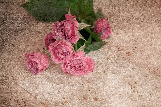 istock Roses flowers branch 516246338