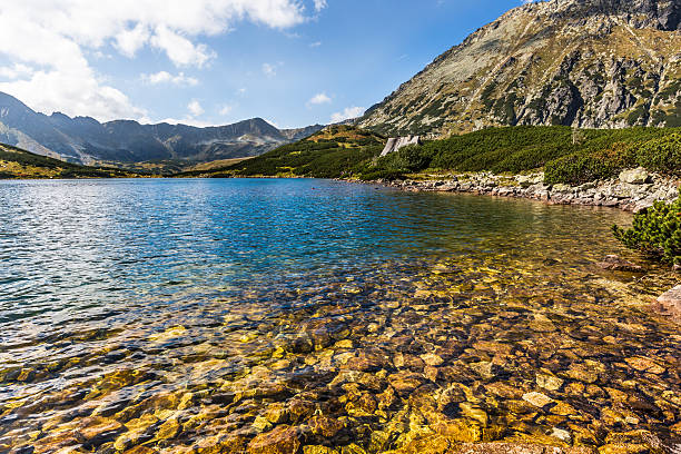 istock Summer in 5 lakes valley in High Tatra Mountains, Poland. 516247399