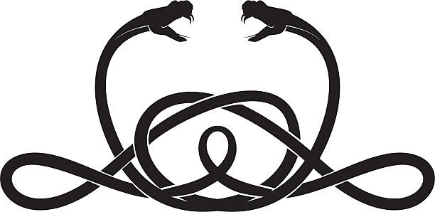 ilustraciones, imágenes clip art, dibujos animados e iconos de stock de vector de serpiente - viper