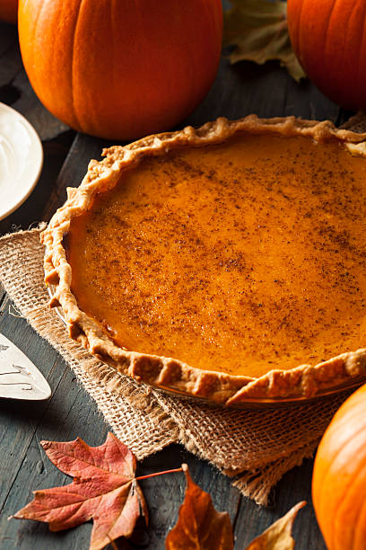 istock Homemade Pumpkin Pie for Thanksgiving 516249359