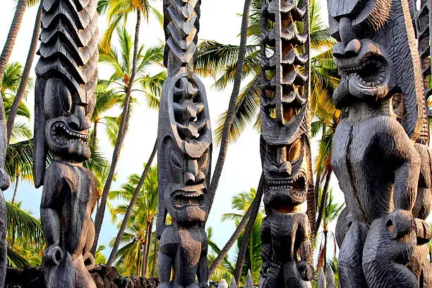 Photo of Hawaiian Tikis Standing at the Place of Refuge, Kona, Hawaii