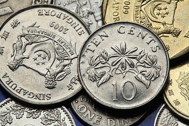 istock Coins of Singapore 516249929