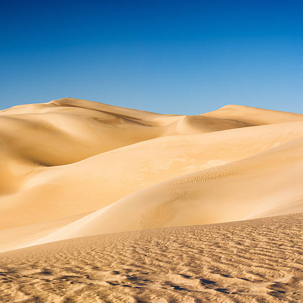 gran mar de arena, libia desierto, parte del sahara, áfrica - great sand sea fotografías e imágenes de stock