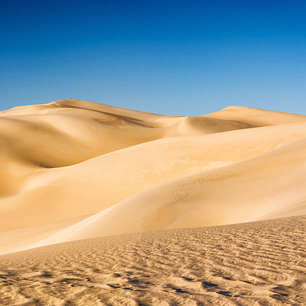 grande sable mer, de libye désert du sahara, afrique - great sand sea photos et images de collection