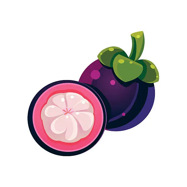 Vector illustration of Mangosteen Flat Vector Sticker