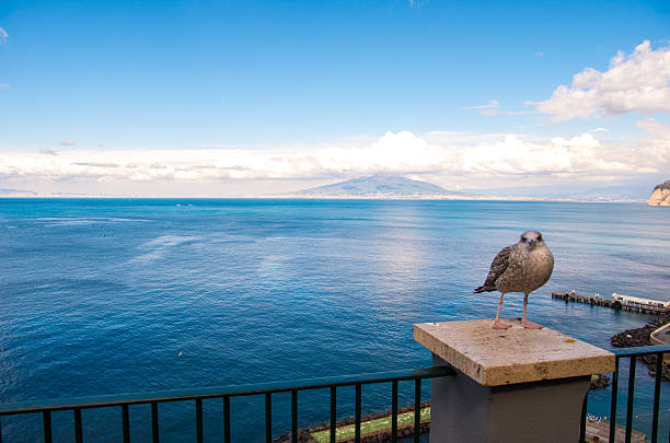 istock Sorrento panorama with Vesuvio 516251302