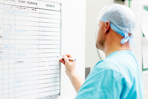 A Veterinary Surgeon writing on a wall chart in a Veterinary Hospital
