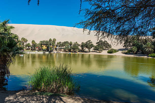 Huacachina lagoon in the peruvian coast at Ica Peru