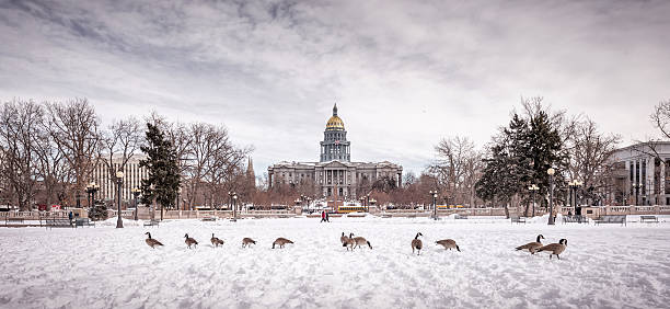 staatsbürgerliche zentrum park und colorado zustand capitol, das denver - denver colorado colorado winter snow stock-fotos und bilder