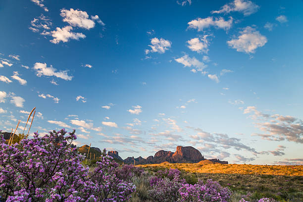 Cloudscape above sagebrush at the Chisos stock photo