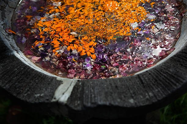 istock colored leaves with drops of dew in the water 516260934