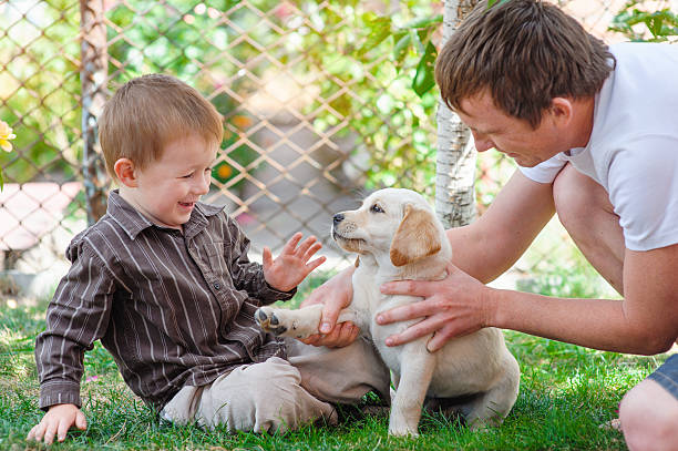 istock father and son playing with a puppy Labrador 516262498