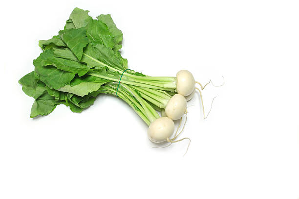 istock Japanese fresh turnip in the white 516263776