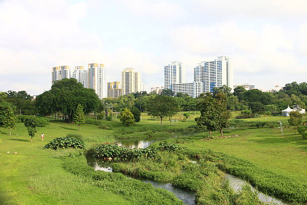 istock Public Housing in Bishan, Singapore 516263974