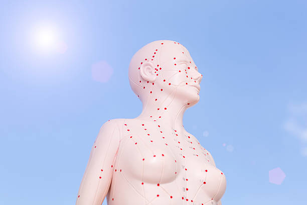 Chinese acupuncture puppet against blue sky Chinese acupuncture puppet against blue sky acupuncture model stock pictures, royalty-free photos & images