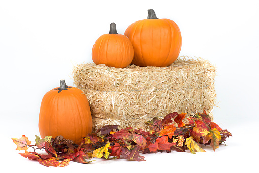 Studio isloated fall pumpkins on hay bale with oak leaves