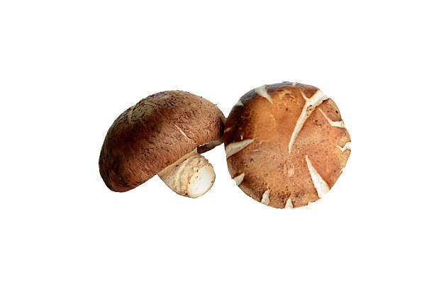 istock Shiitake mushroom on the White background 516281051