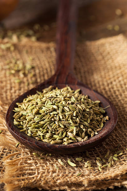 istock raw organic fennel Seed 516282848
