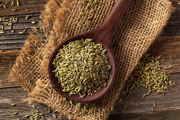 crudo biologico di semi di finocchio - ingredient fennel food dry foto e immagini stock