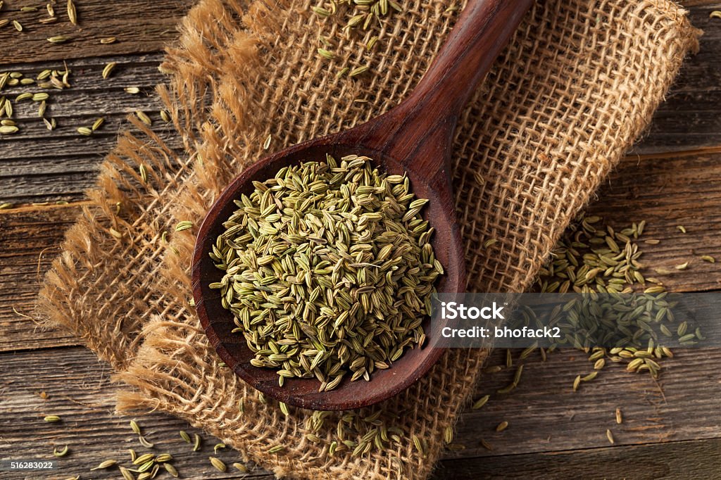 raw organic fennel Seed raw organic fennel Seed Ready to Use Fennel Stock Photo