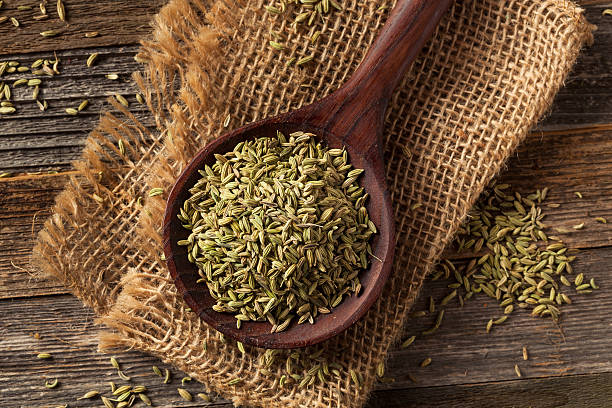 herbs for weight loss burn belly herbs for weight loss burn belly