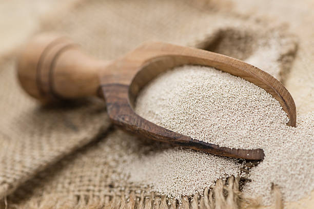 Portion of dried Yeast