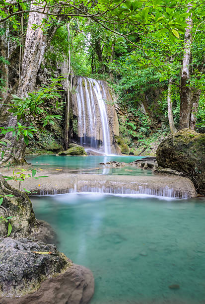 hermosa cascada del bosque profundo en tailandia - tropical rainforest thailand root waterfall fotografías e imágenes de stock