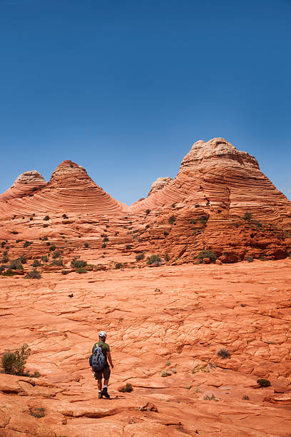 istock Backpacker walks toward the Wave rock formation in Arizona 516286072
