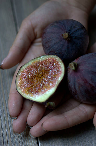 istock Ripe figs straight from the bush 516287651