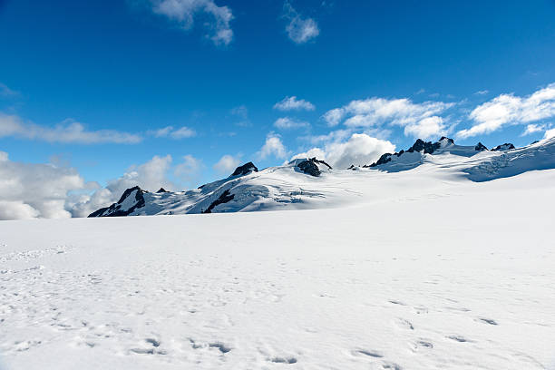 istock Fox Glacier, New Zealand, South Island 516287678