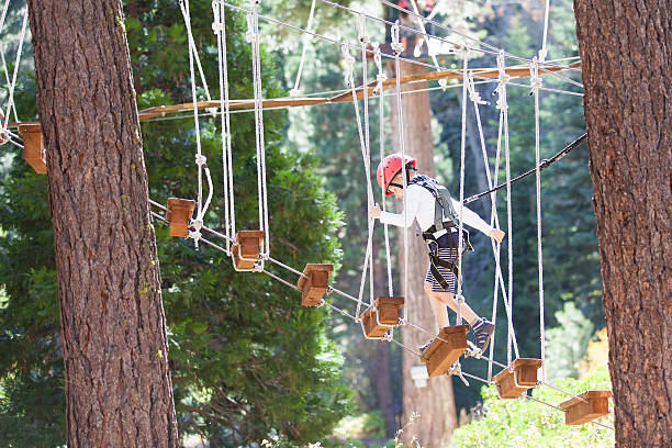 kid at treetop park stock photo