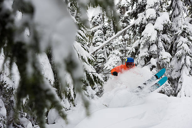 istock Powder skiing in the trees 516289938