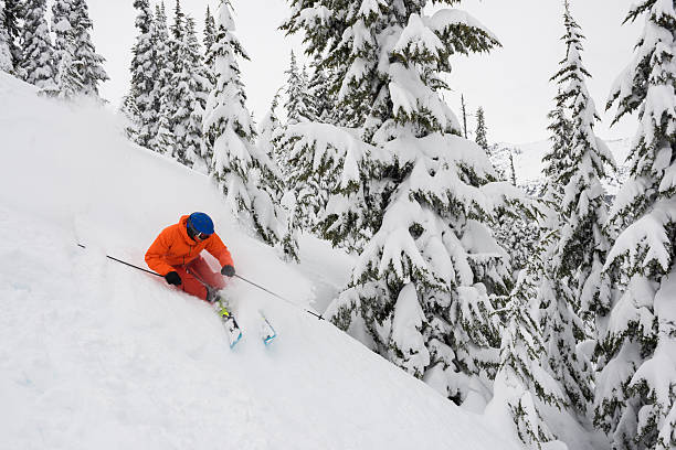 istock Powder skiing in the trees 516290486