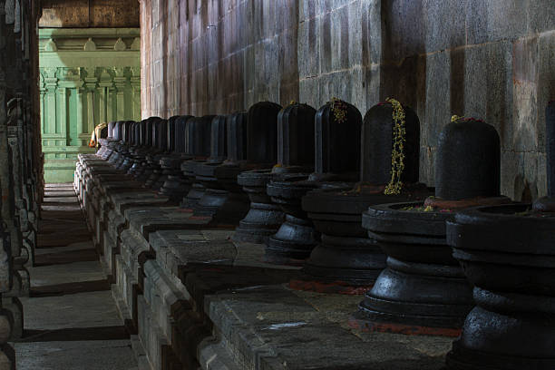 Group of Shiva lingams,   Ekambareswarar Templein Kanchipuram Group of Shiva lingams in Shiva temple, Kanchipuram, India animal penis stock pictures, royalty-free photos & images