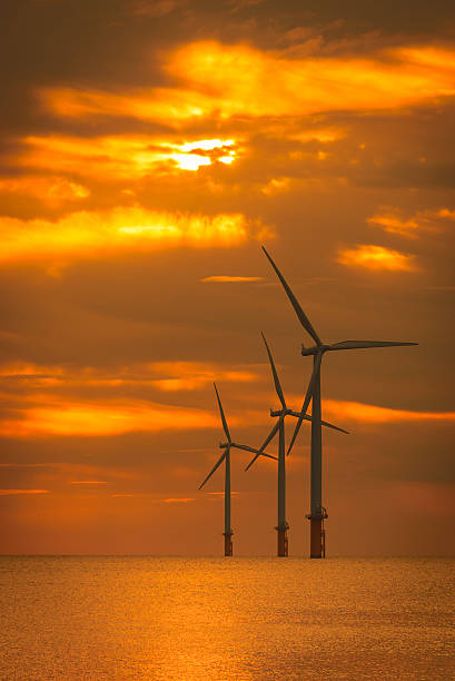 tramonto al largo di vento turbina un vento in un allevamento - offshore wind foto e immagini stock