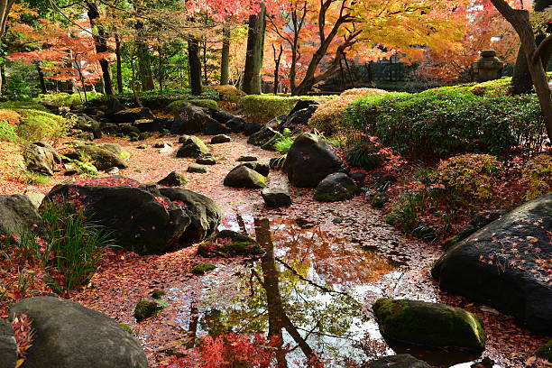 istock Autumn Colors in Tokyo 516291874