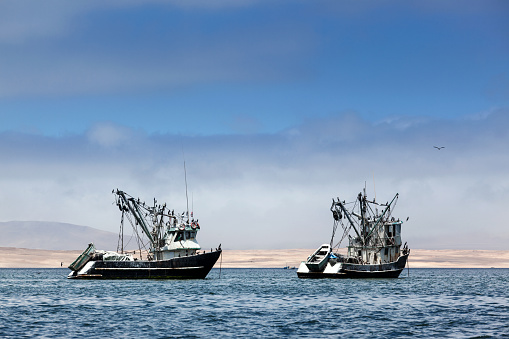 fishing boats in the bay of the Pacific Ocean