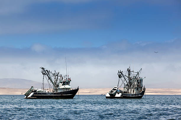 fishing boats in bay fishing boats in the bay of the Pacific Ocean winch cable stock pictures, royalty-free photos & images