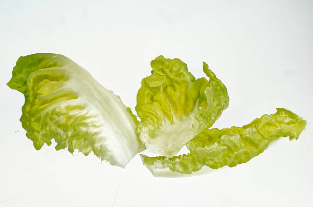 few leaves romaine lettuce Cut