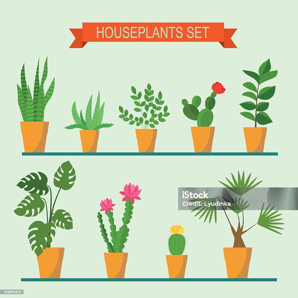 Vector collection of houseplants and flowers in pots. Vector flat illustration Vector collection of houseplants and flowers in pots on the shelves. Vector flat illustration Houseplant stock vector