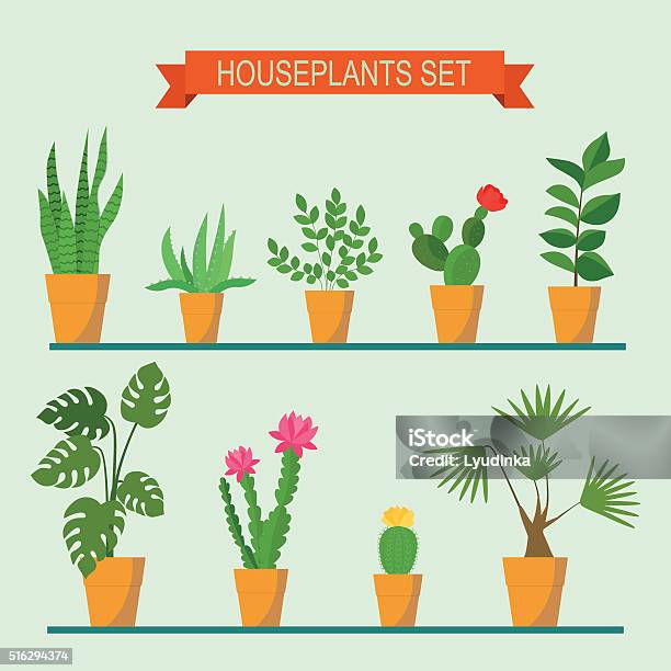 Vector Collection Of Houseplants And Flowers In Pots Vector Flat Illustration Stock Illustration - Download Image Now