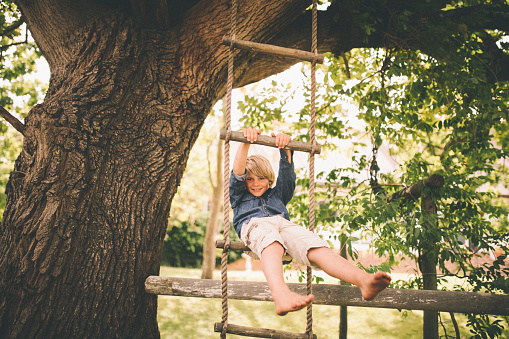 Cute little boy sitting in a rope ladder hanging from  large tree in a lush green park, swinging and smiling at the camera
