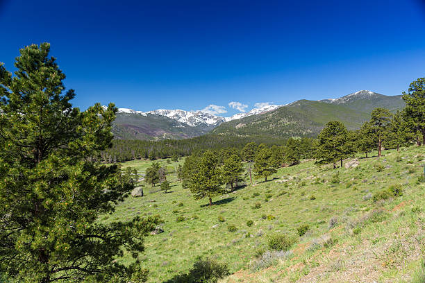 istock Rocky Mountain National Park 516313249