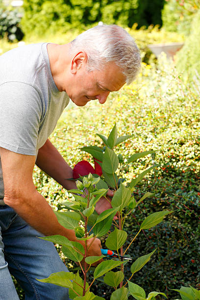 istock Old man portrait 516313857