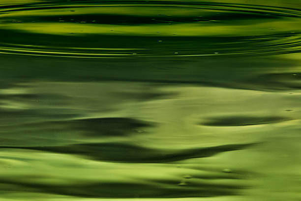 Chlorophyll colored liquid Photograph of the surface of a colored liquid traversed by waves and wavelets aquatint stock pictures, royalty-free photos & images