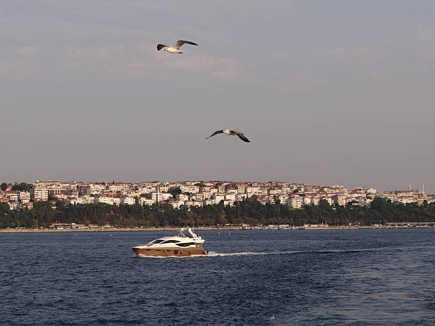 Boat in front of the skyline of Istanbul stock photo